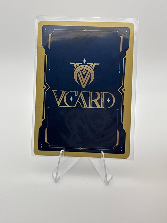 VCard Rising Stars | 113/190