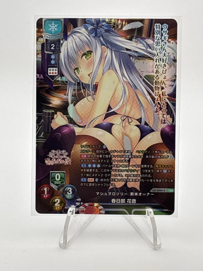 Lycee Overture Marmalade 1.0 | LO-5828-K KR