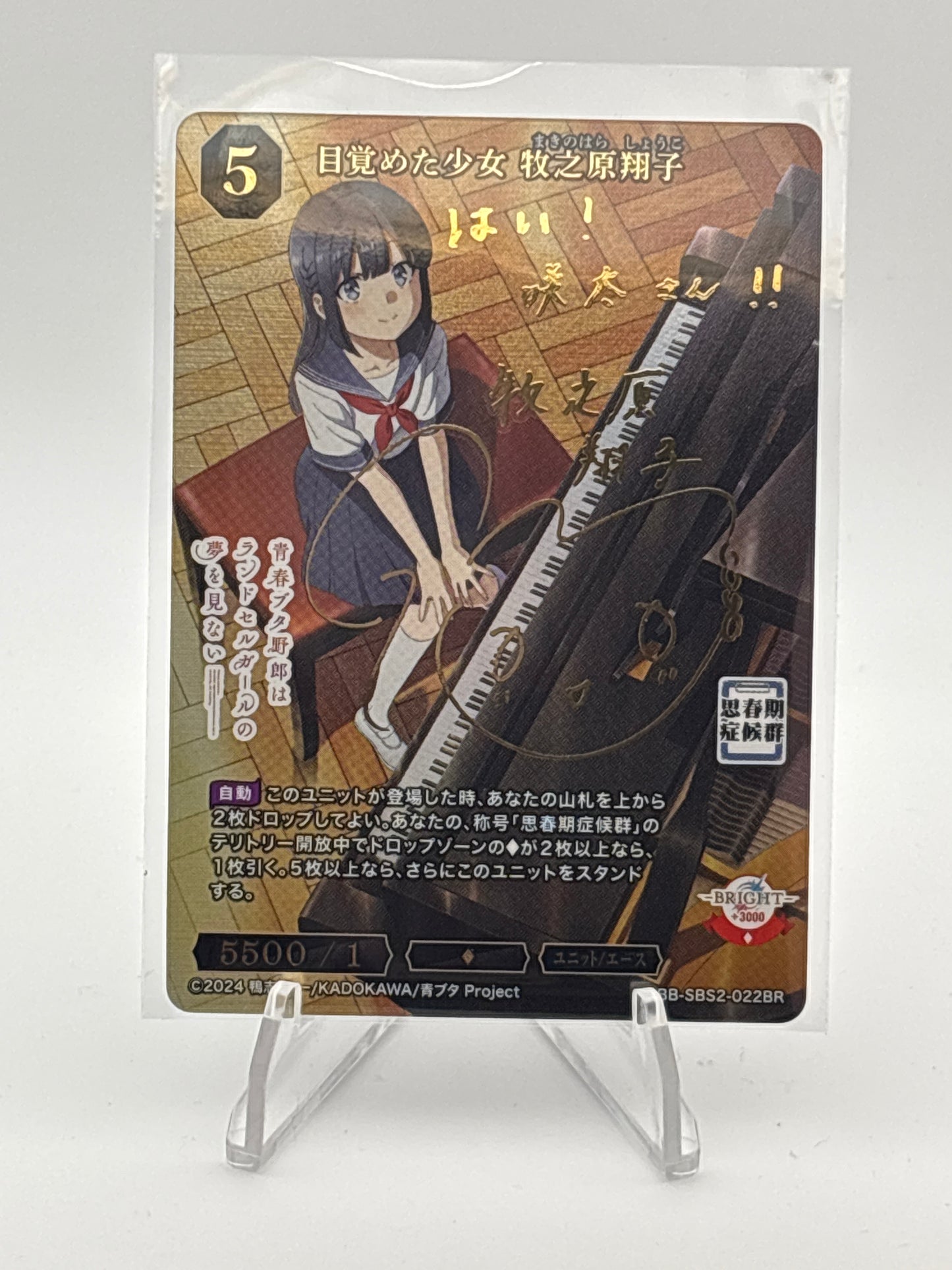 Build Divide Bunny Girl Shouko Makinohara | BB-SBS2-022BR