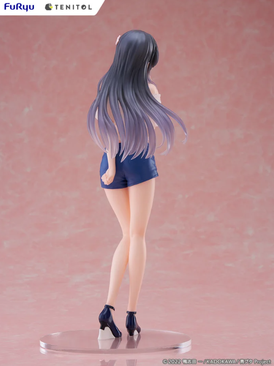 TENITOL TALL Rascal Does Not Dream Mai Sakurajima Non-Scale Figure