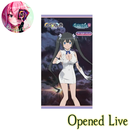 Is It Wrong to Try to Pick Up Girls in a Dungeon? V | OSICA