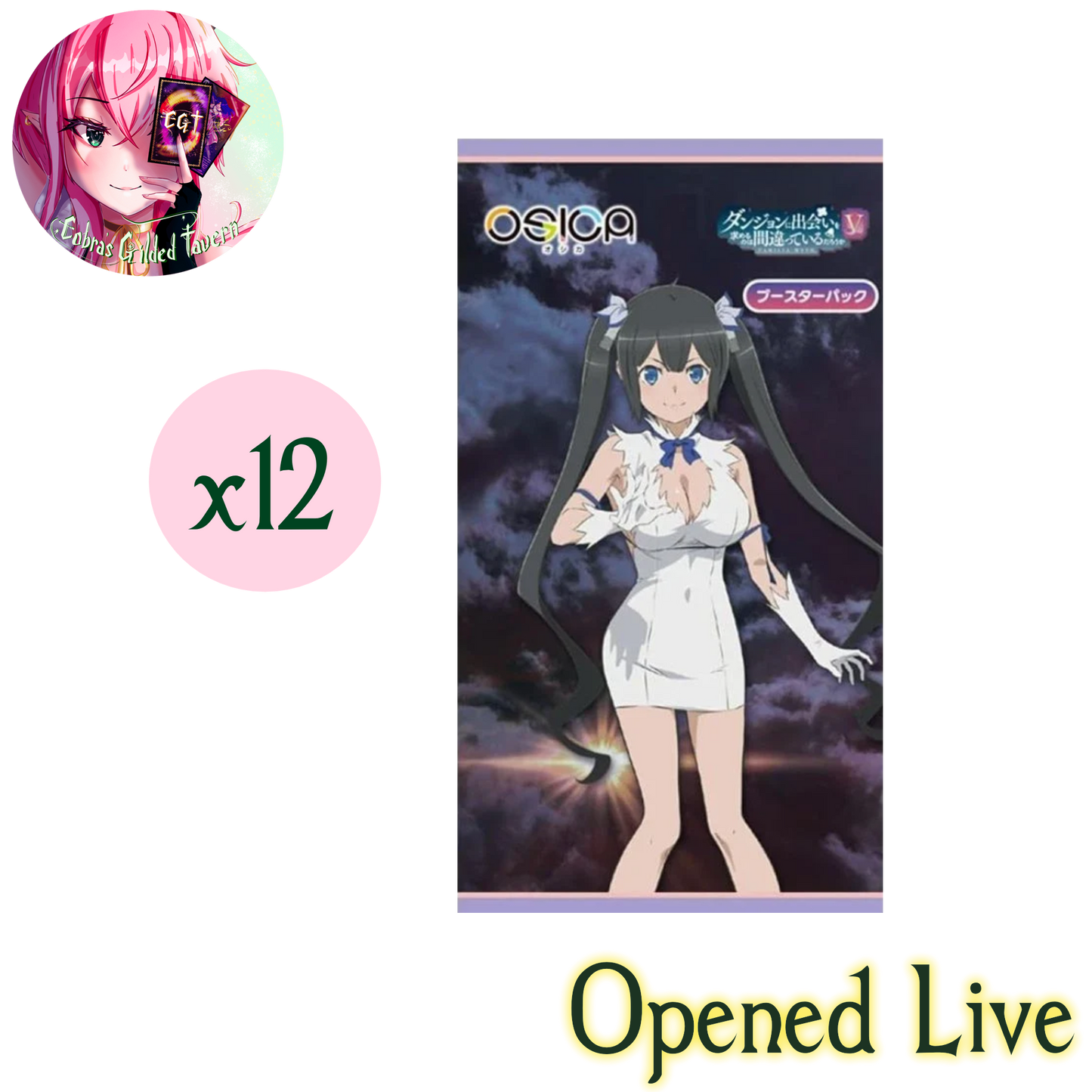 Is It Wrong to Try to Pick Up Girls in a Dungeon? V | OSICA