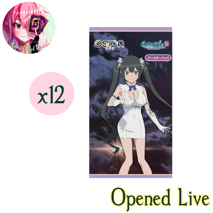 Is It Wrong to Try to Pick Up Girls in a Dungeon? V | OSICA