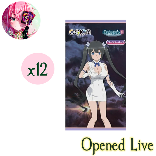 Is It Wrong to Try to Pick Up Girls in a Dungeon? V | OSICA