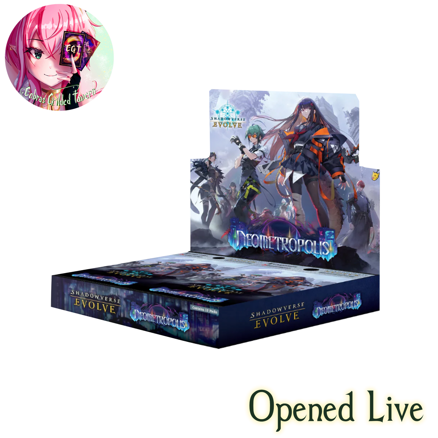 Neometropolis | English ShadowVerse: Evolved