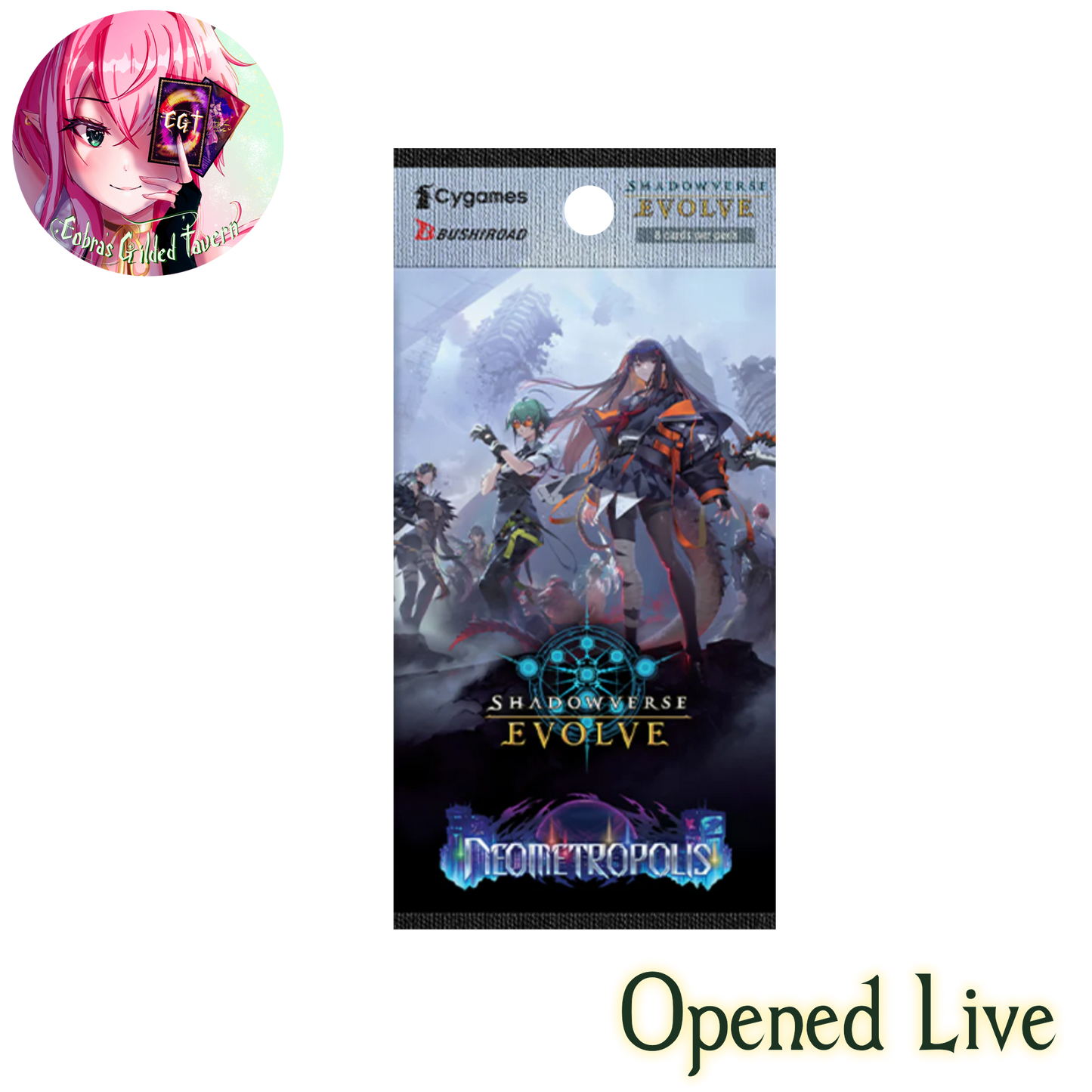 Neometropolis | English ShadowVerse: Evolved